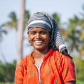 Whale shark under water