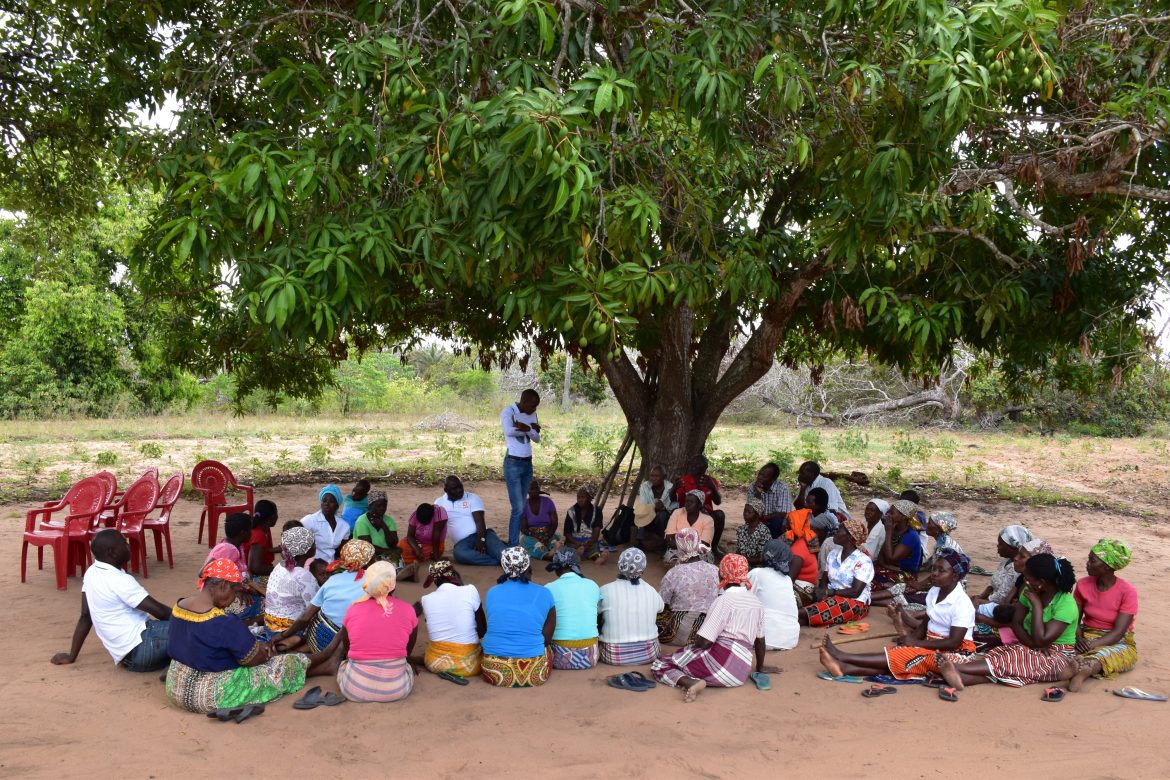 Sitzende Gruppe unter Baum, Tender Projekt, Malawi